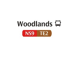 Future of Woodlands