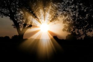 Natural Lighting & How It Can Improve the Feel of the Industrial Unit